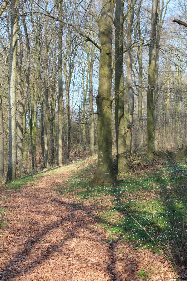 Louiselund 3* Haderslev